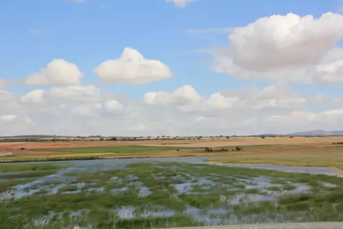 Humedales-Corral-Rubio-Hoya-del-Pozo10