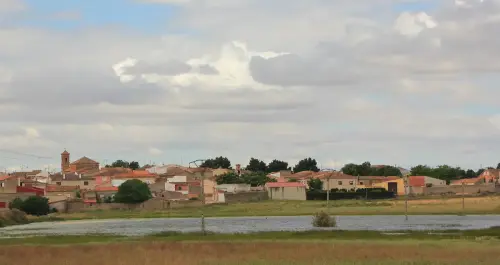 Humedales-Corral-Rubio-Hoya-del-Pozo11