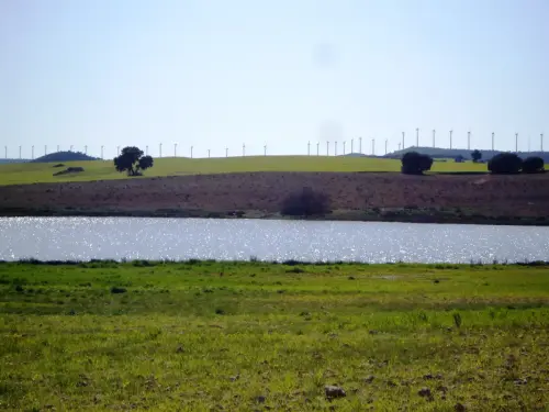Humedales-Corral-Rubio-Hoya-del-Pozo12
