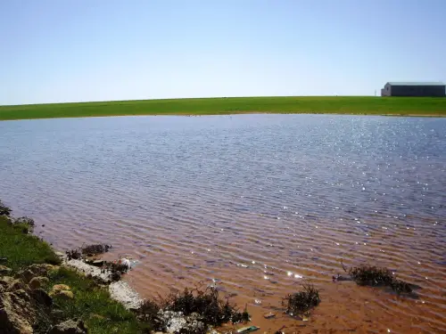 Humedales-Corral-Rubio-Hoya-del-Pozo13