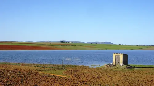 Humedales-Corral-Rubio-Hoya-del-Pozo15