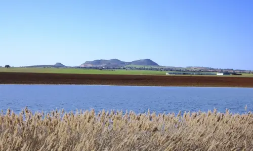 Humedales-Corral-Rubio-Hoya-del-Pozo16