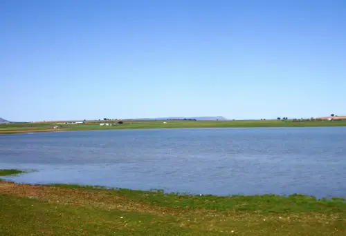 Humedales-Corral-Rubio-Hoya-del-Pozo17