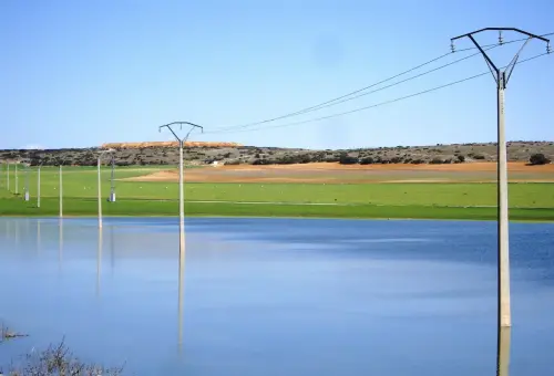 Humedales-Corral-Rubio-Hoya-del-Pozo18