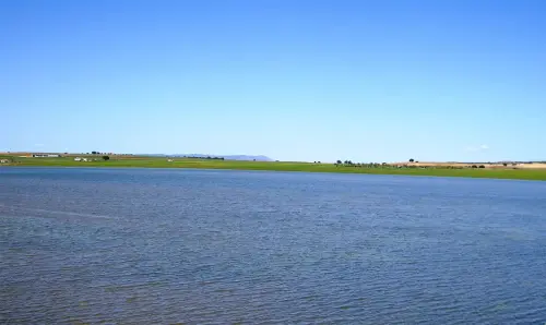 Humedales-Corral-Rubio-Hoya-del-Pozo19