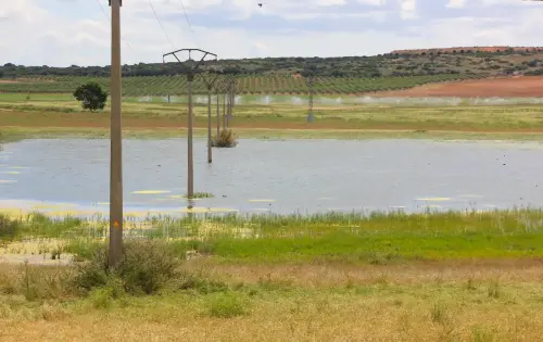 Humedales-Corral-Rubio-Hoya-del-Pozo2