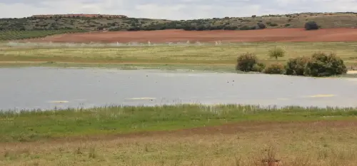 Humedales-Corral-Rubio-Hoya-del-Pozo4