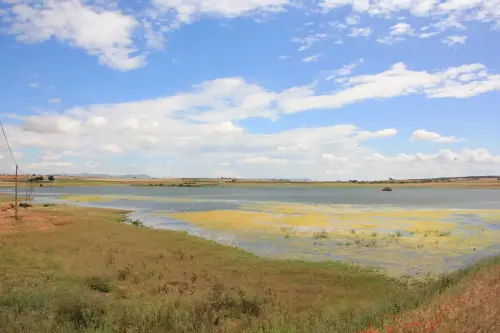 Humedales-Corral-Rubio-Hoya-del-Pozo7