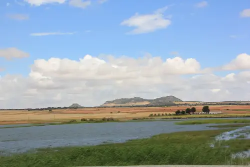 Humedales-Corral-Rubio-Hoya-del-Pozo8