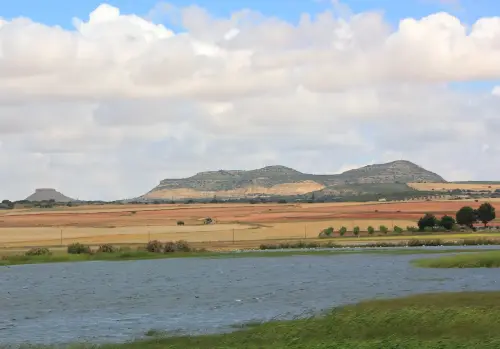 Humedales-Corral-Rubio-Hoya-del-Pozo9