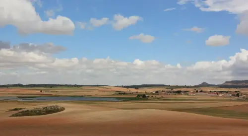 Humedales-Corral-Rubio-La-Laguna