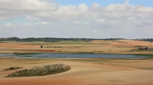 Humedales-Corral-Rubio-La-Laguna2