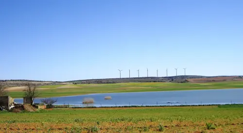 Humedales-Corral-Rubio-La-Laguna3