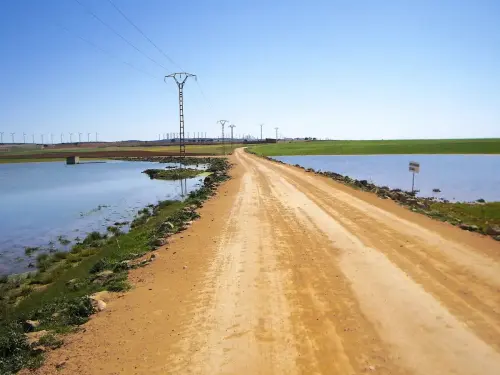 Humedales-Corral-Rubio-La-Laguna4