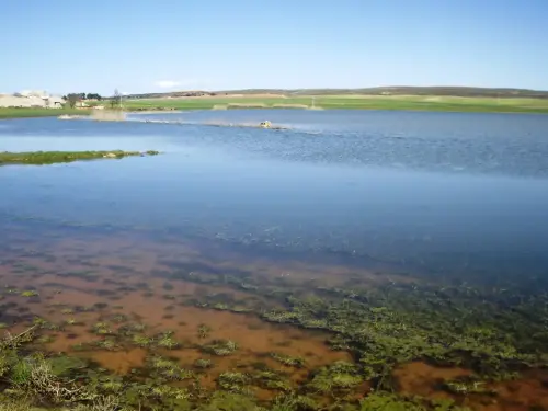 Humedales-Corral-Rubio-La-Laguna6