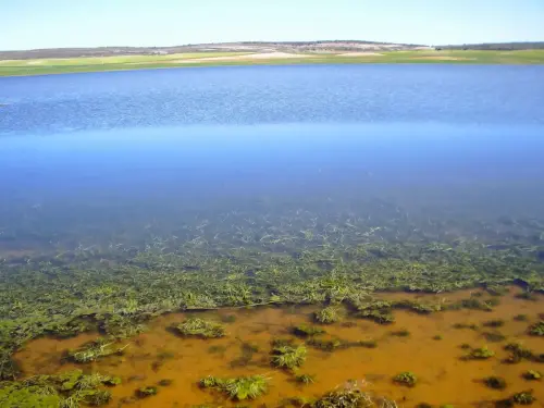 Humedales-Corral-Rubio-La-Laguna7
