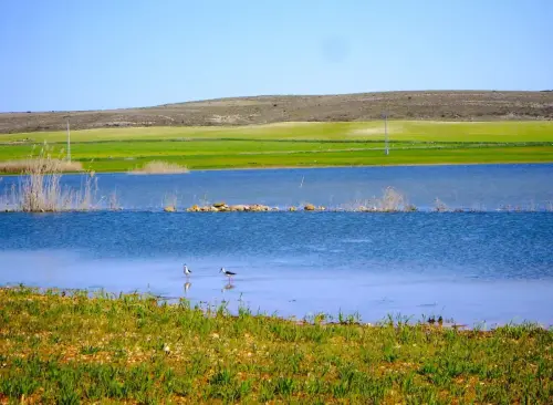 Humedales-Corral-Rubio-La-Laguna8