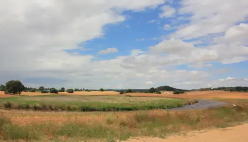 Humedales-Corral-Rubio-Laguna-Hoya-de-la-Hierba12