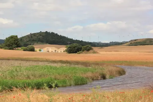 Humedales-Corral-Rubio-Laguna-Hoya-de-la-Hierba13
