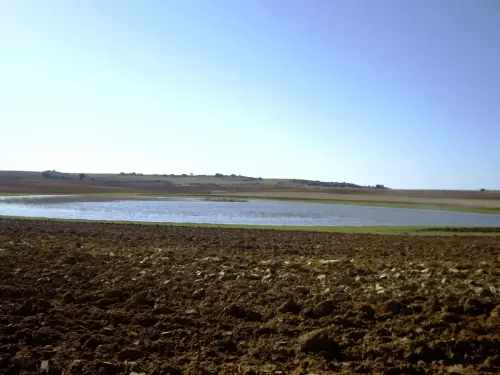 Humedales-Corral-Rubio-Laguna-Hoya-de-la-Hierba14