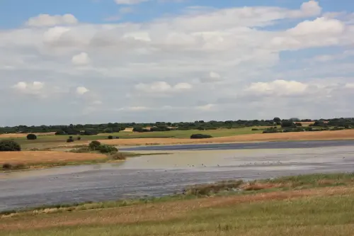 Humedales-Corral-Rubio-Laguna-Hoya-de-la-Hierba2