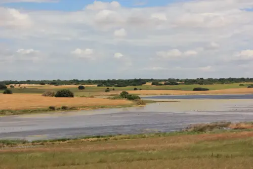 Humedales-Corral-Rubio-Laguna-Hoya-de-la-Hierba3