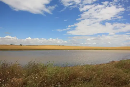 Humedales-Corral-Rubio-Laguna-de-Hoya-Elvira