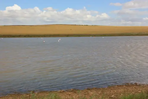 Humedales-Corral-Rubio-Laguna-de-Hoya-Elvira2