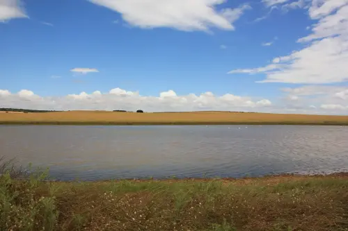 Humedales-Corral-Rubio-Laguna-de-Hoya-Elvira5
