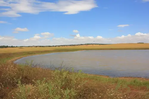 Humedales-Corral-Rubio-Laguna-de-Hoya-Elvira7