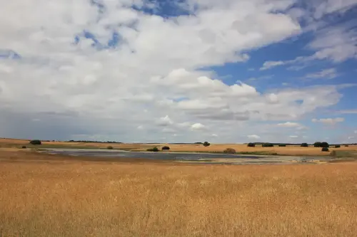Humedales-Corral-Rubio-Laguna-de-Hoya-Rasa