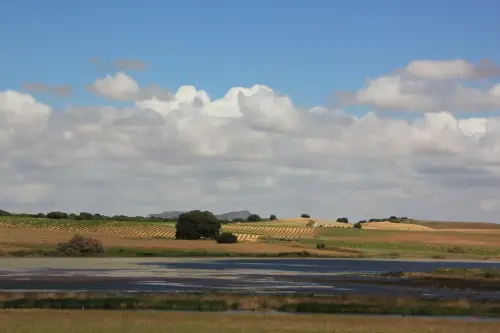 Humedales-Corral-Rubio-Laguna-de-Hoya-Rasa10
