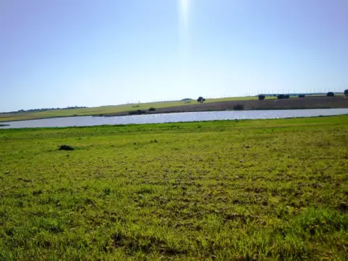 Humedales-Corral-Rubio-Laguna-de-Hoya-Rasa11