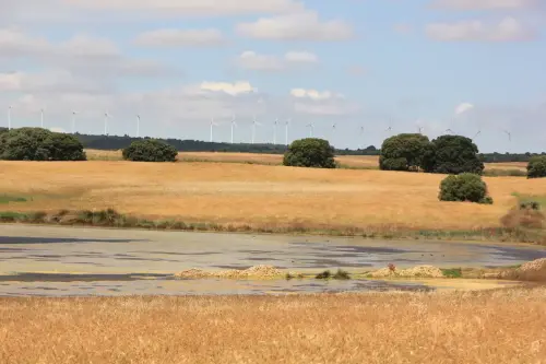 Humedales-Corral-Rubio-Laguna-de-Hoya-Rasa2