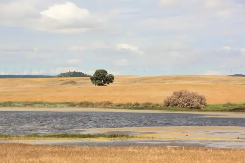 Humedales-Corral-Rubio-Laguna-de-Hoya-Rasa3