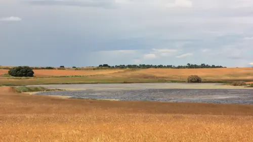 Humedales-Corral-Rubio-Laguna-de-Hoya-Rasa4