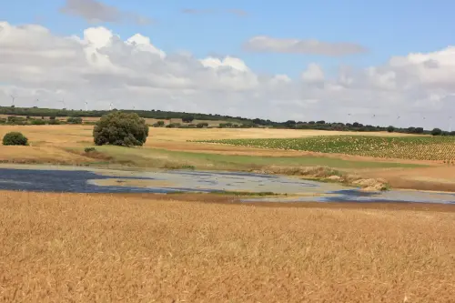 Humedales-Corral-Rubio-Laguna-de-Hoya-Rasa6