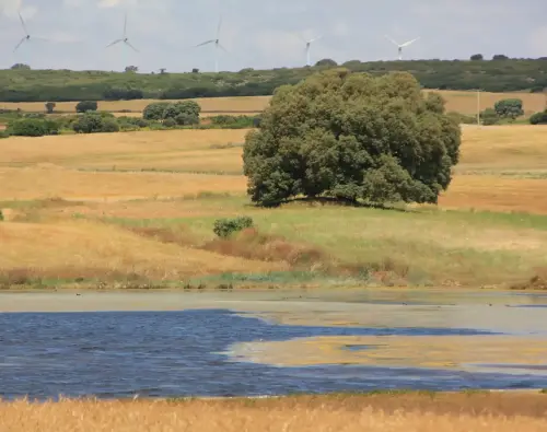 Humedales-Corral-Rubio-Laguna-de-Hoya-Rasa7