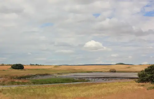 Humedales-Corral-Rubio-Laguna-de-Hoya-Rasa8