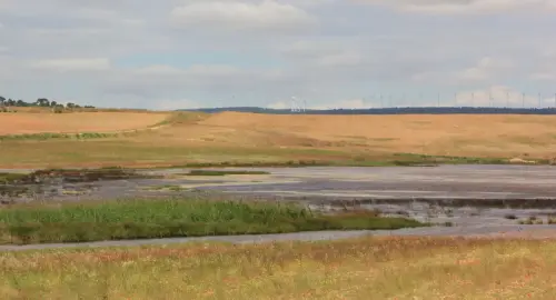 Humedales-Corral-Rubio-Laguna-de-Hoya-Rasa9