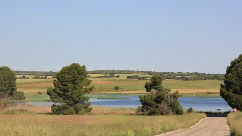 Humedales-Corral-Rubio-Laguna-de-La-Higuera-San-Jose