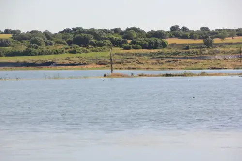 Humedales-Corral-Rubio-Laguna-de-La-Higuera-San-Jose10