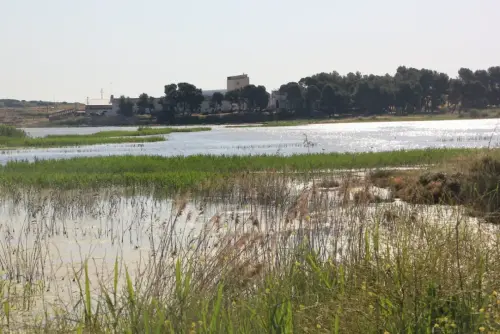 Humedales-Corral-Rubio-Laguna-de-La-Higuera-San-Jose11