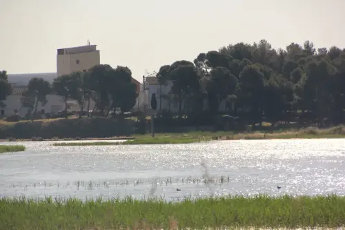 Humedales-Corral-Rubio-Laguna-de-La-Higuera-San-Jose12