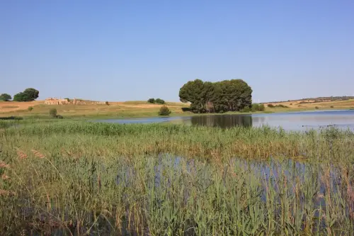 Humedales-Corral-Rubio-Laguna-de-La-Higuera-San-Jose13