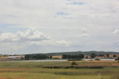 Humedales-Corral-Rubio-Laguna-de-La-Higuera-San-Jose14