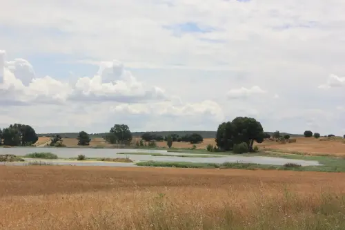 Humedales-Corral-Rubio-Laguna-de-La-Higuera-San-Jose15