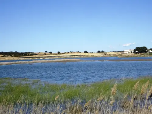 Humedales-Corral-Rubio-Laguna-de-La-Higuera-San-Jose16