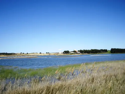 Humedales-Corral-Rubio-Laguna-de-La-Higuera-San-Jose17