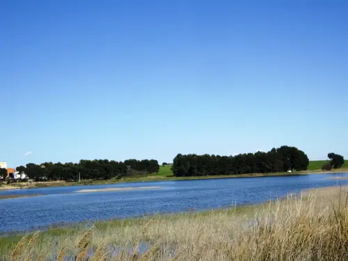 Humedales-Corral-Rubio-Laguna-de-La-Higuera-San-Jose18